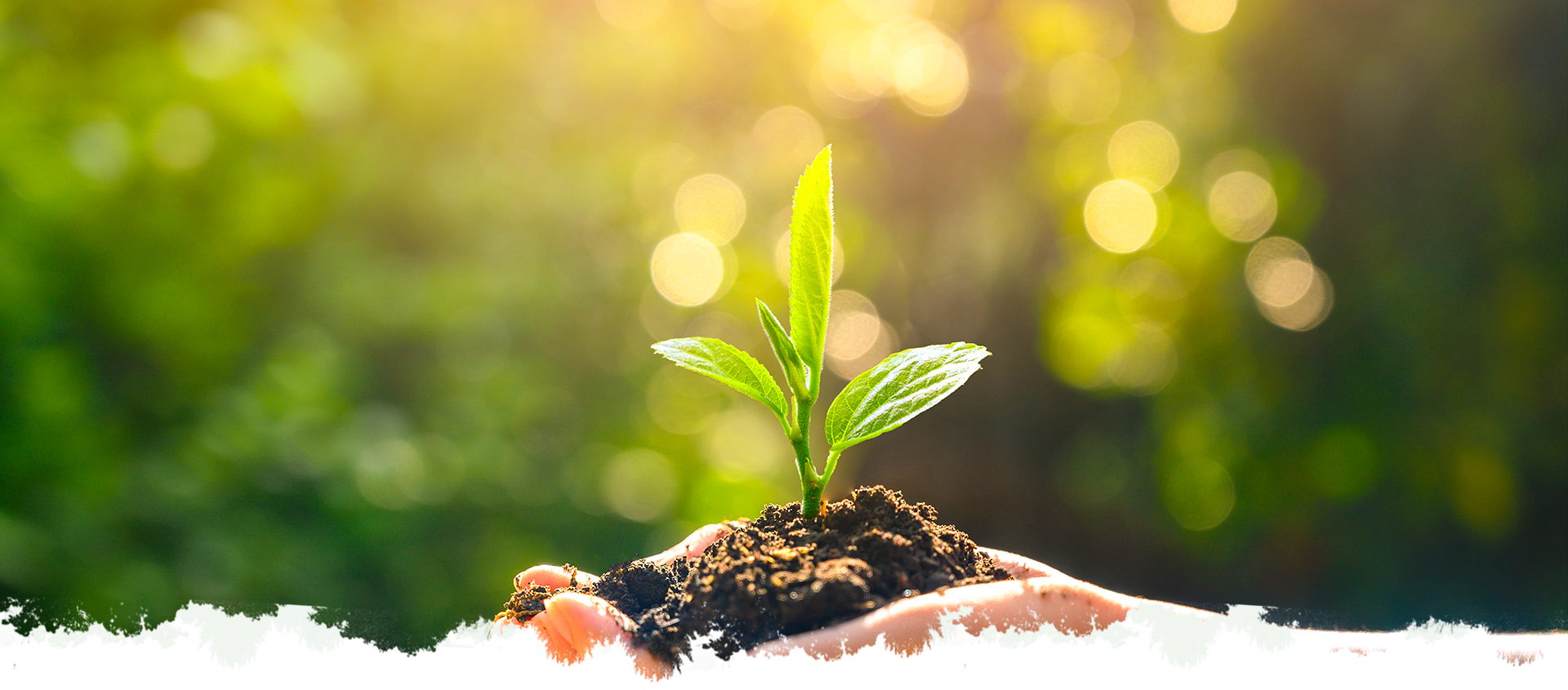 AG��˾(�й���)�����޹�˾����