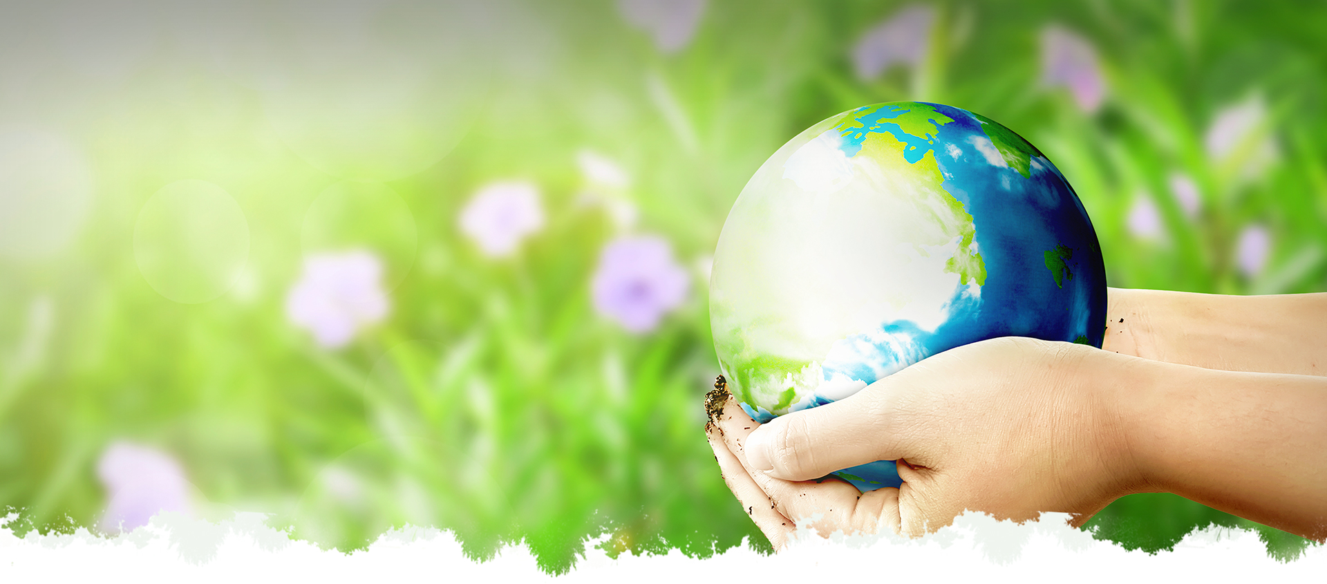 AG��˾(�й���)�����޹�˾����