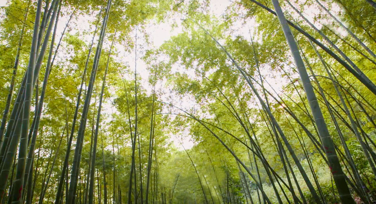 AG��˾(�й���)�����޹�˾����