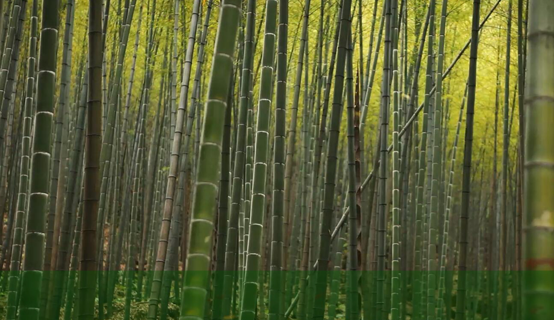 AG��˾(�й���)�����޹�˾����