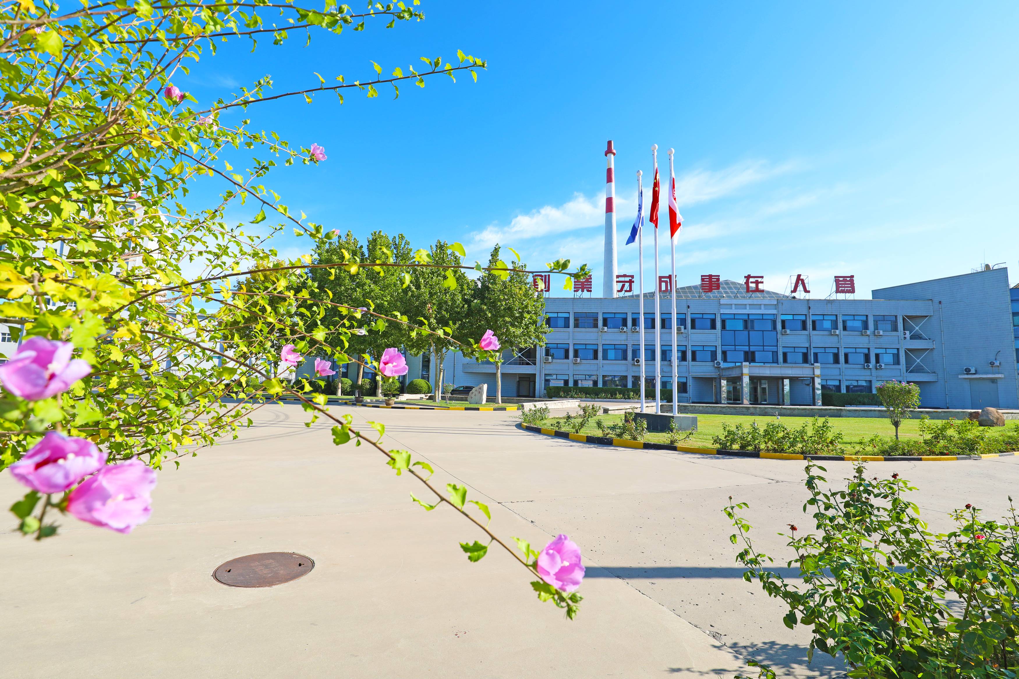 AG��˾(�й���)�����޹�˾����