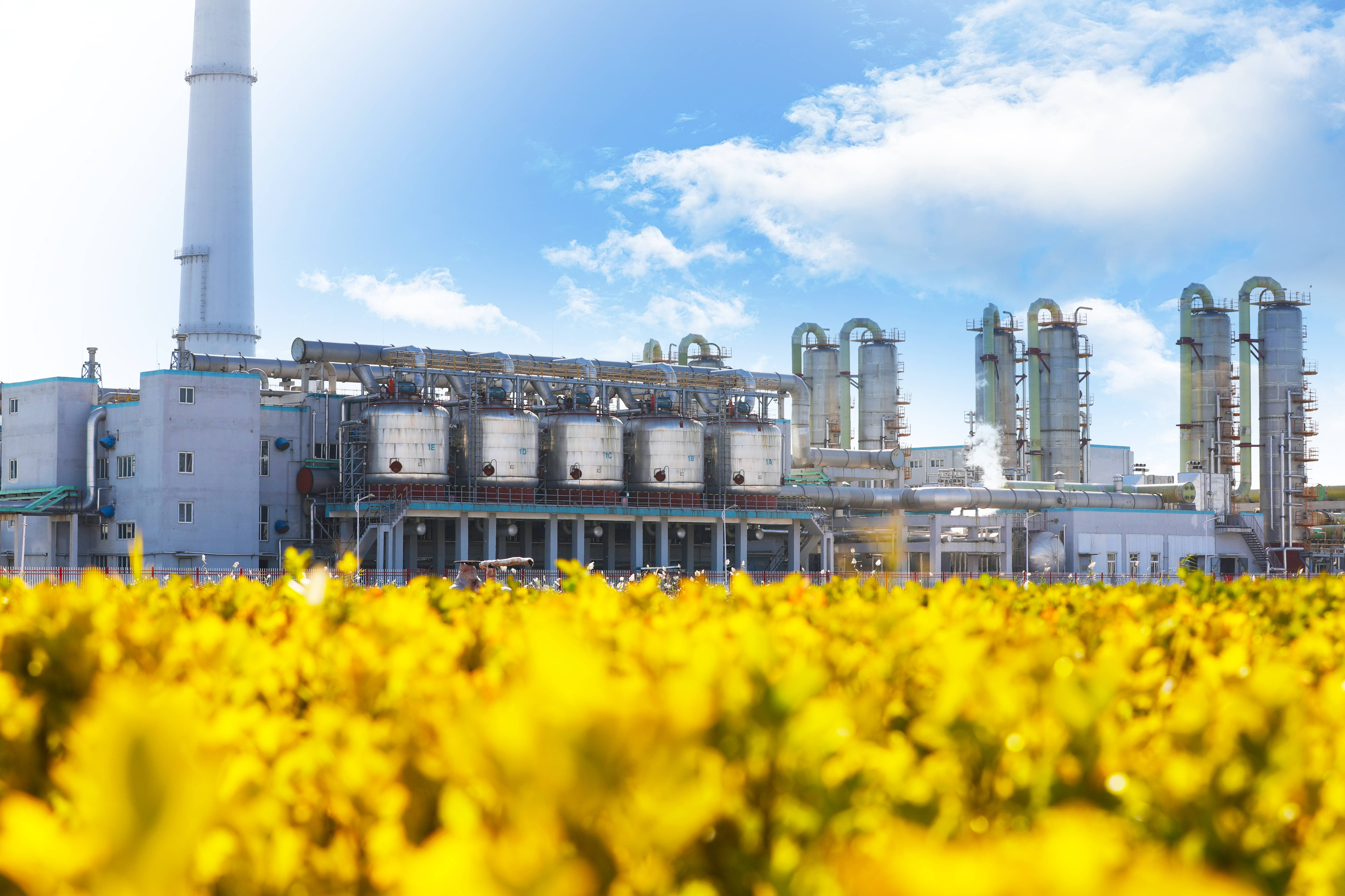 AG��˾(�й���)�����޹�˾����